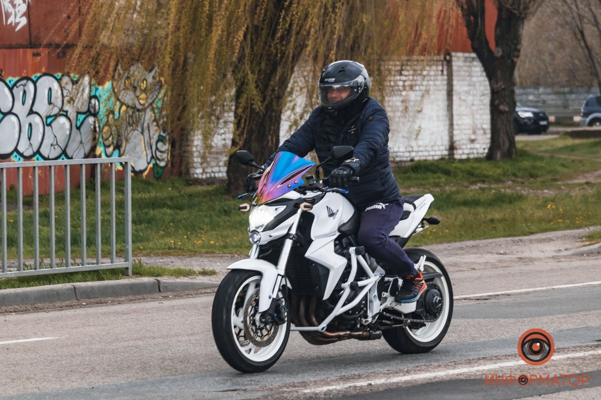 Современный конь