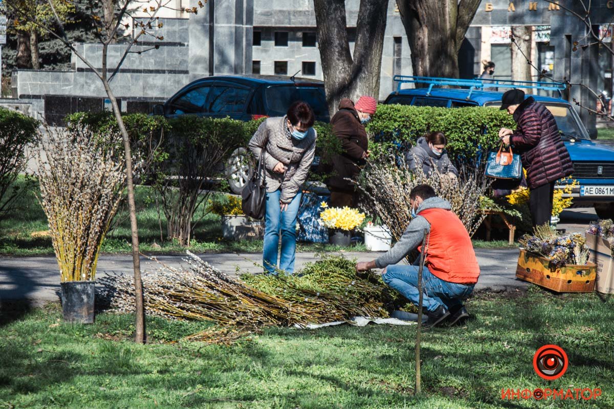 Всюду верба
