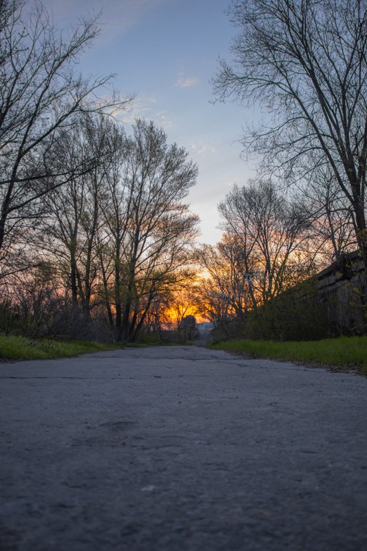 Утренняя прогулка