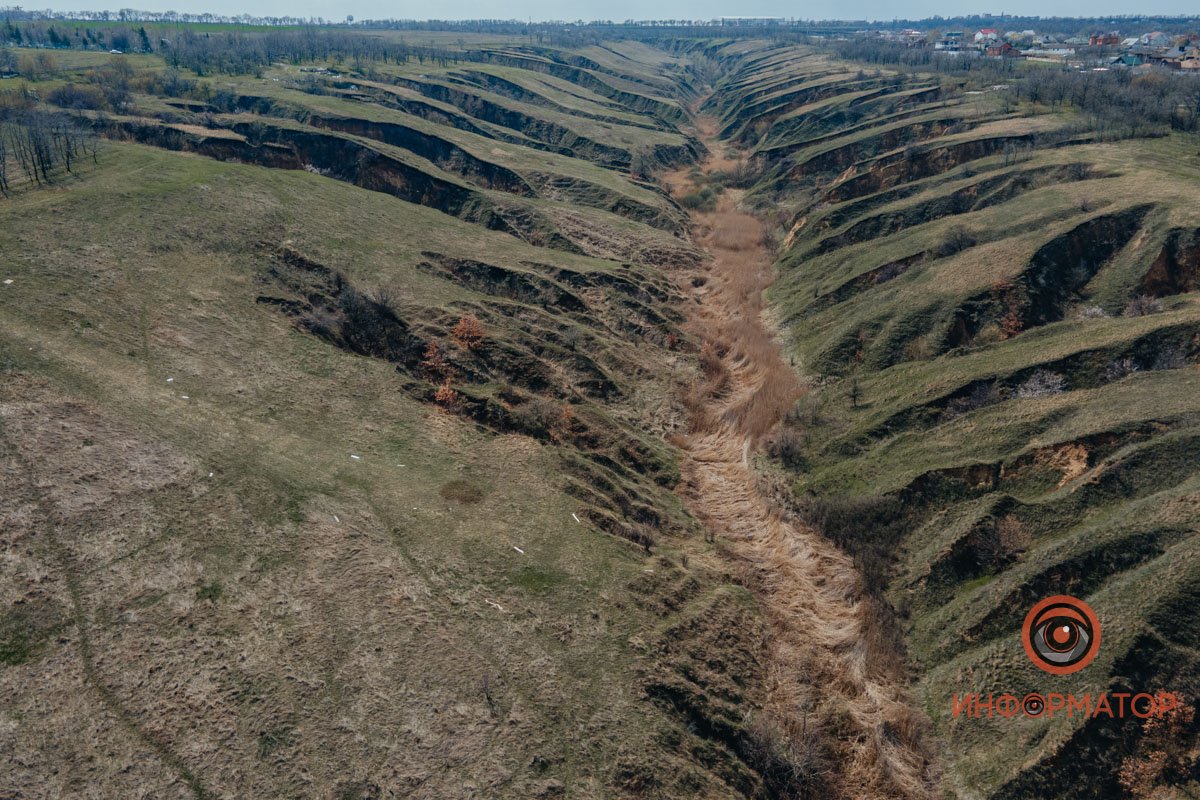 Миниатюрная Новая Зеландия Миниатюрная Новая Зеландия