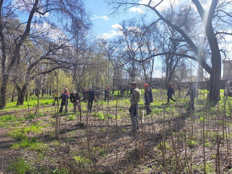 Сотрудники ДМЗ вместе с горожанами привели в порядок сквер Металлургов 2
