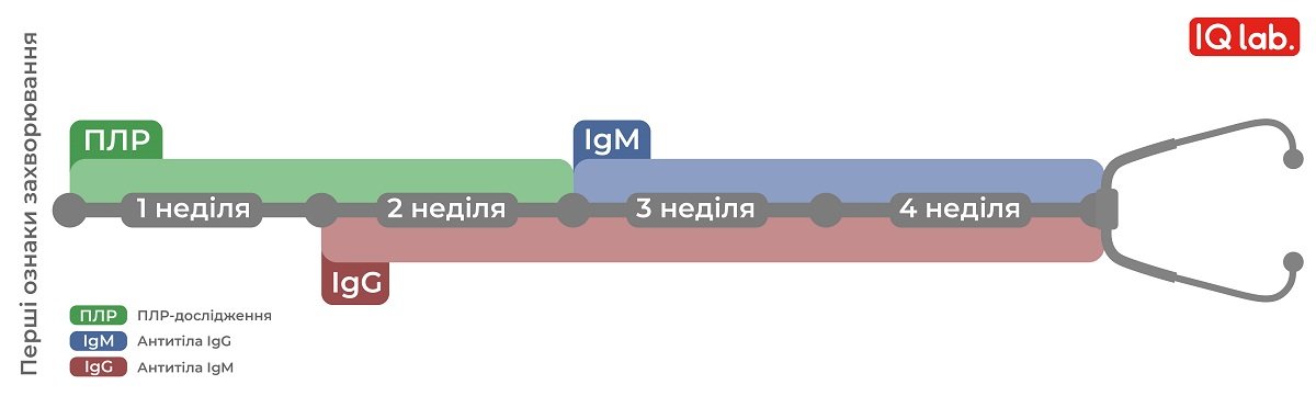 Где, когда и как проверить наличие антител к COVID-19 3