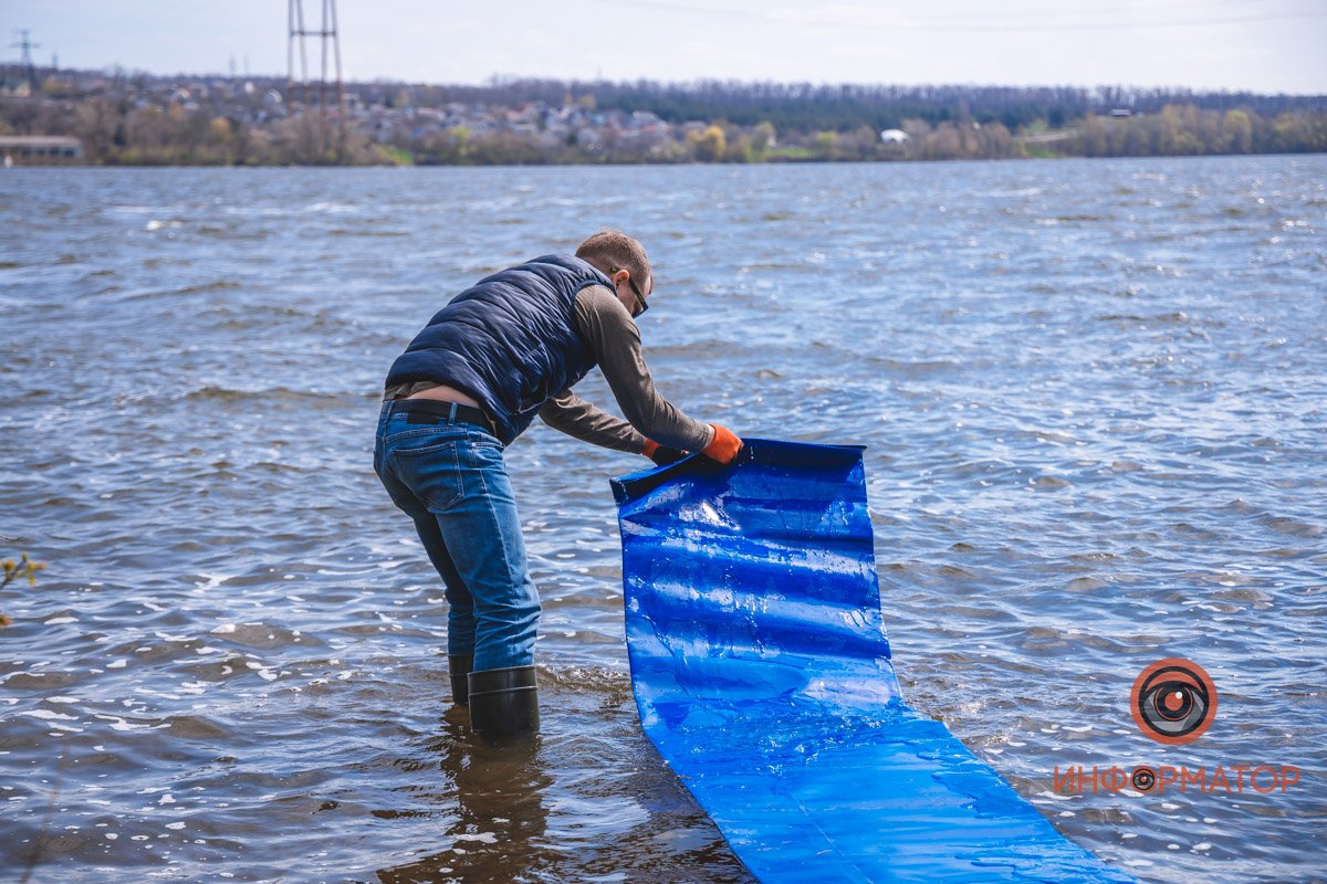 В Днепр выпустили 200 килограмм осетра в рамках криптоэксперимента 3