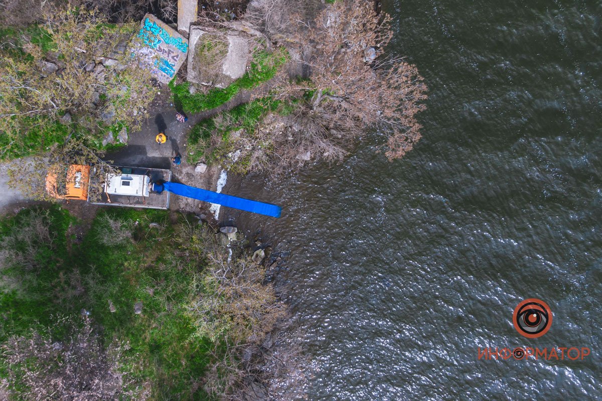 В Днепр выпустили 200 килограмм осетра в рамках криптоэксперимента 4