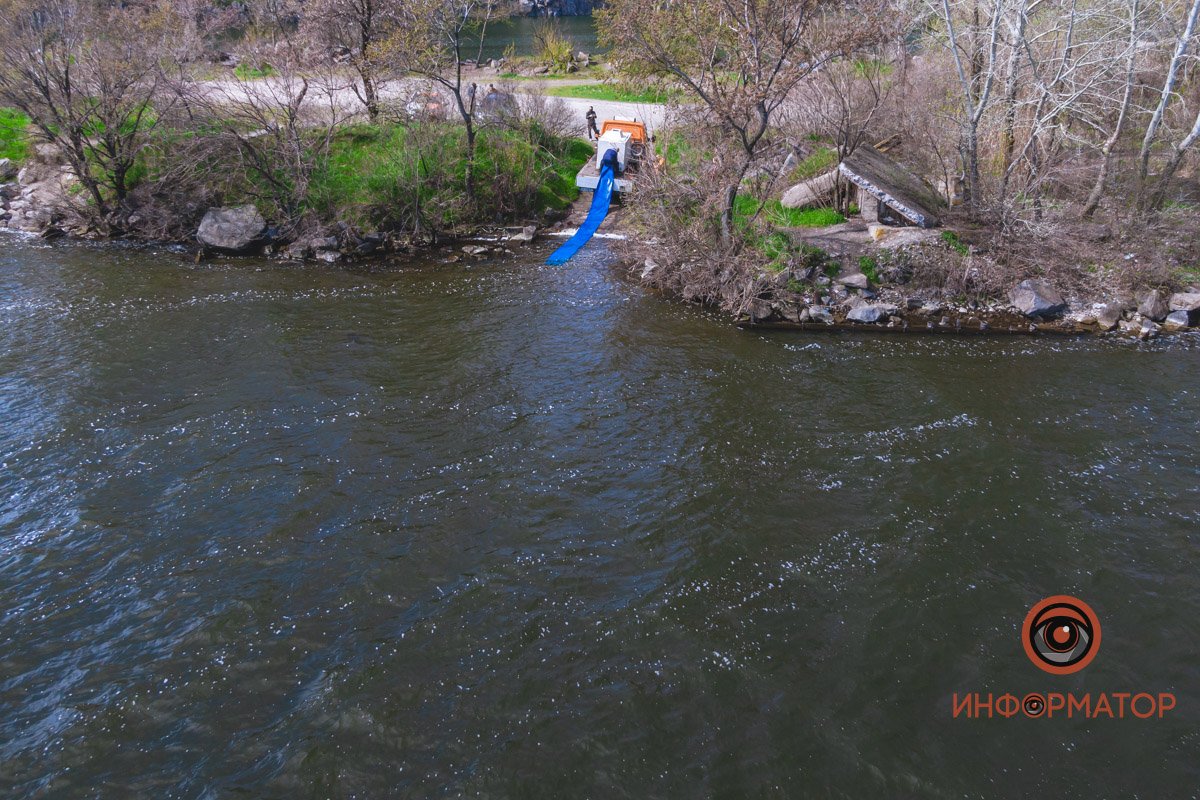 В Днепр выпустили 200 килограмм осетра в рамках криптоэксперимента 5