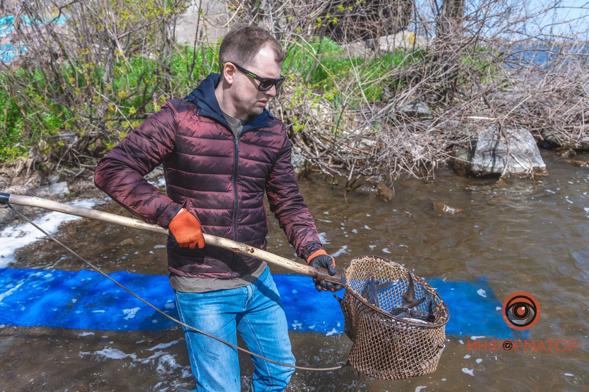 В Днепр выпустили 200 килограмм осетра в рамках криптоэксперимента 12