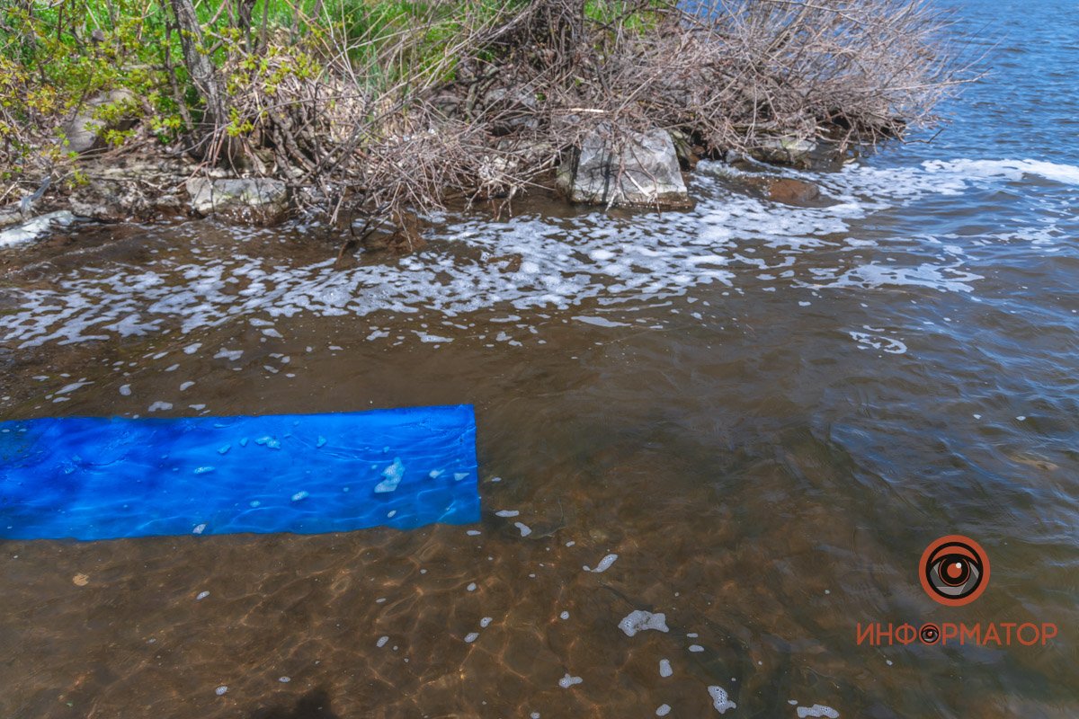 В Днепр выпустили 200 килограмм осетра в рамках криптоэксперимента 14