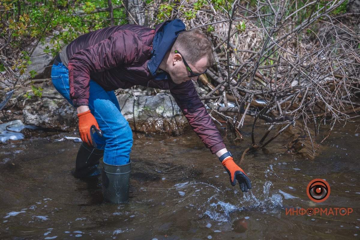 В Днепр выпустили 200 килограмм осетра в рамках криптоэксперимента 19