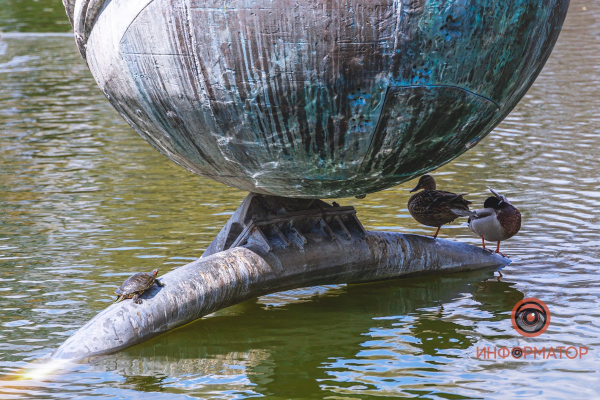 Животные тоже радуются весне