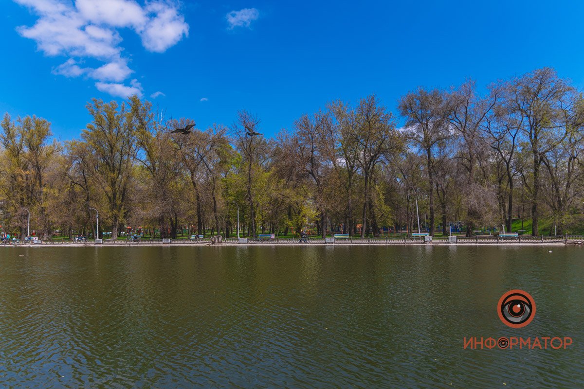 Выходи гулять!