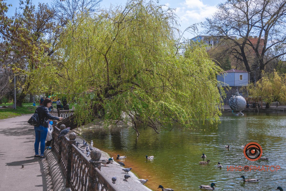 Общение с природой