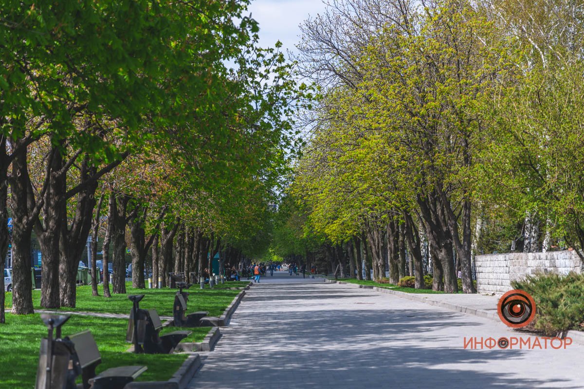 Неожиданно позеленело