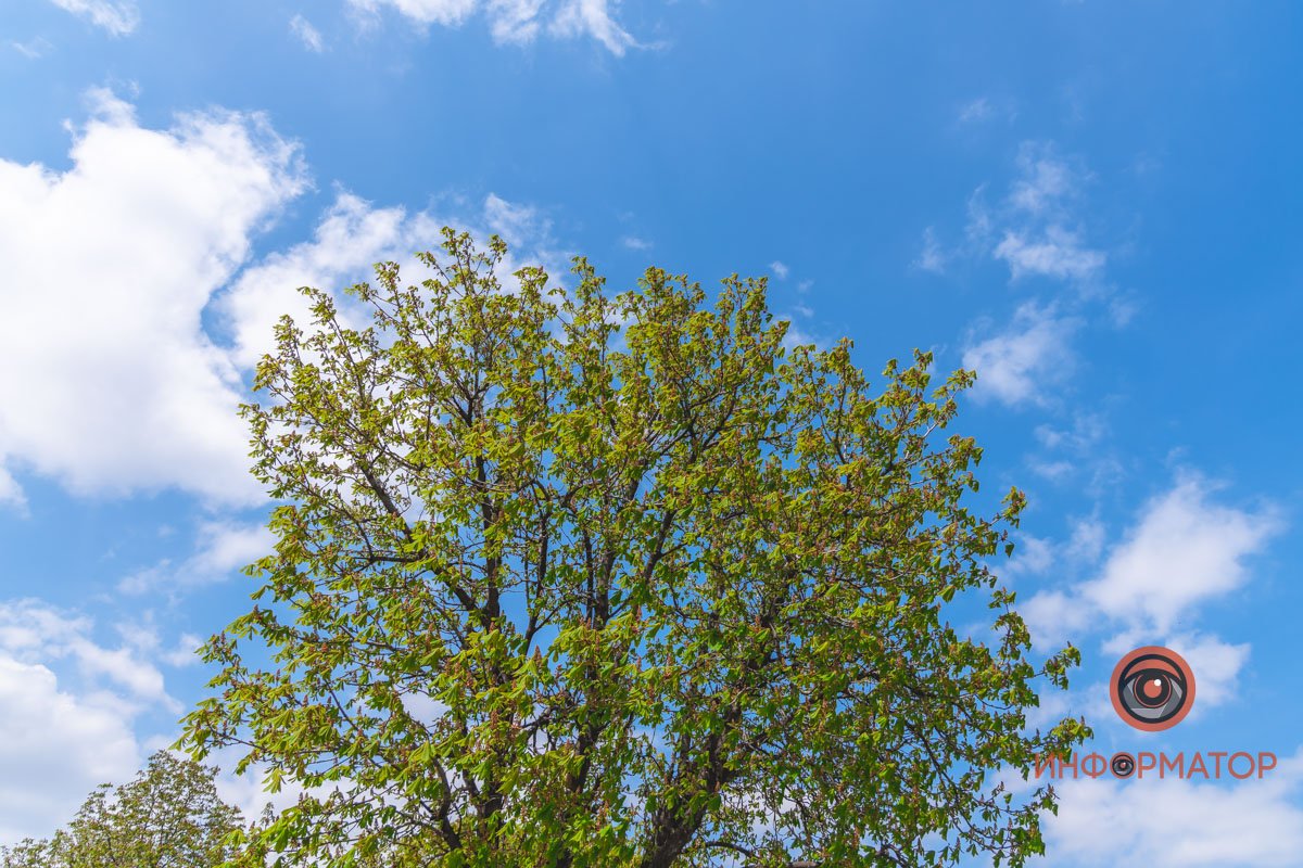 Посмотри на небо 