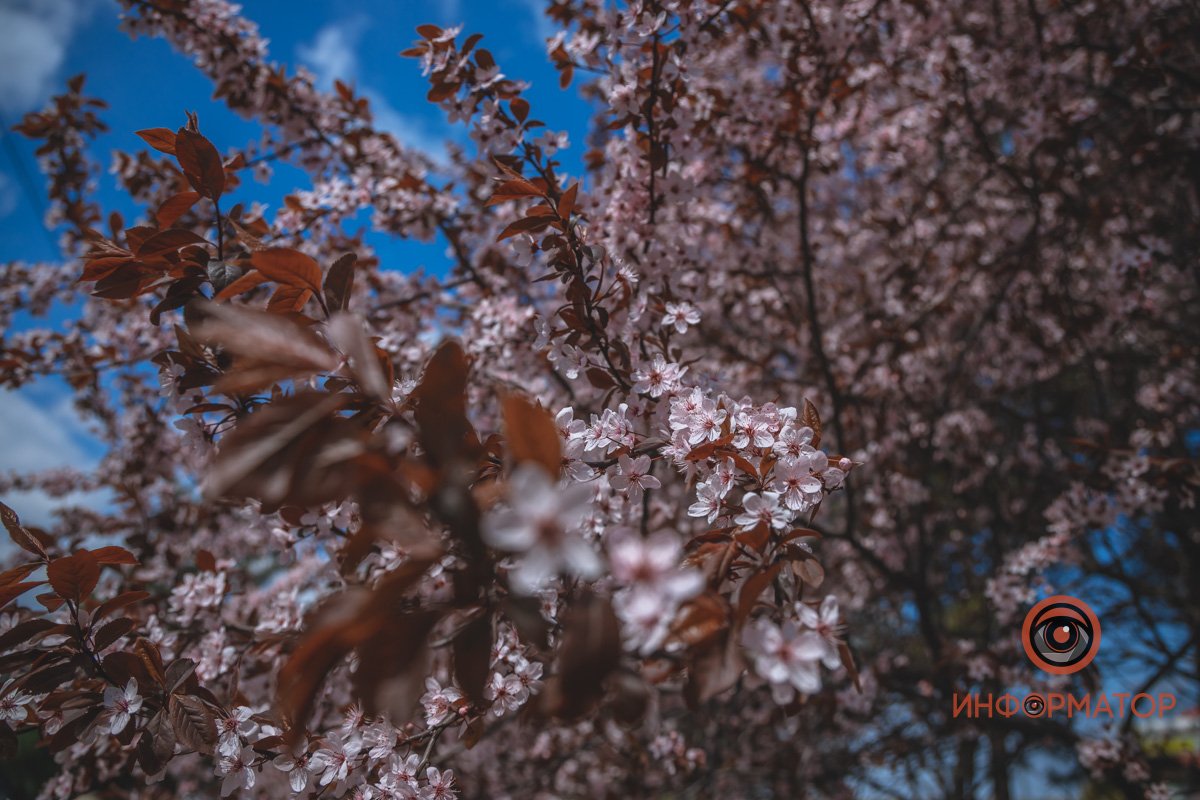 Хоть на заставку рабочего стола ставь