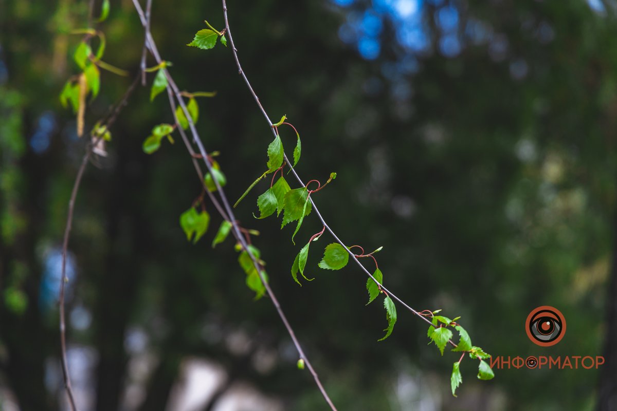 Чудеса макросъемки