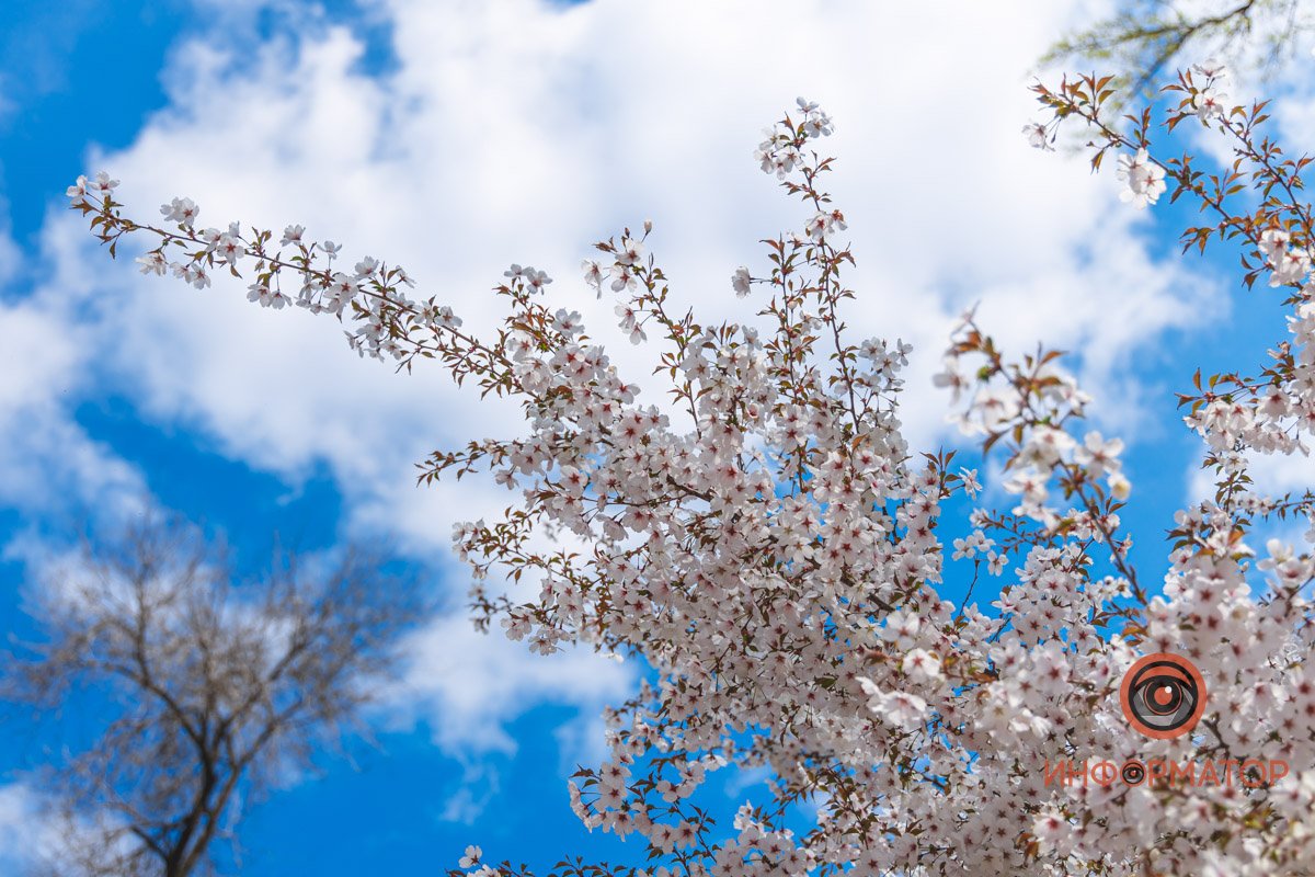 Чудесная картина