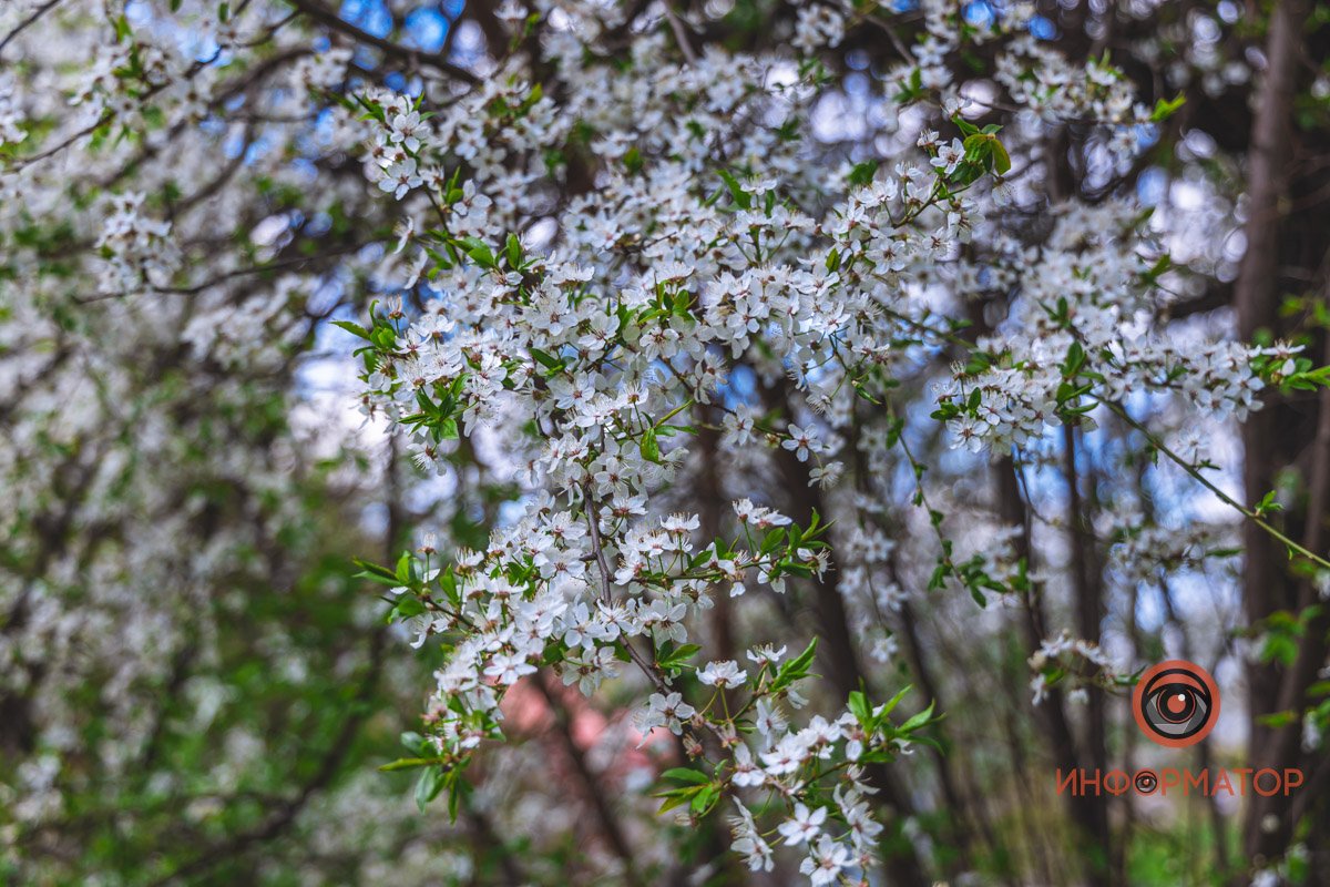 Детали весны