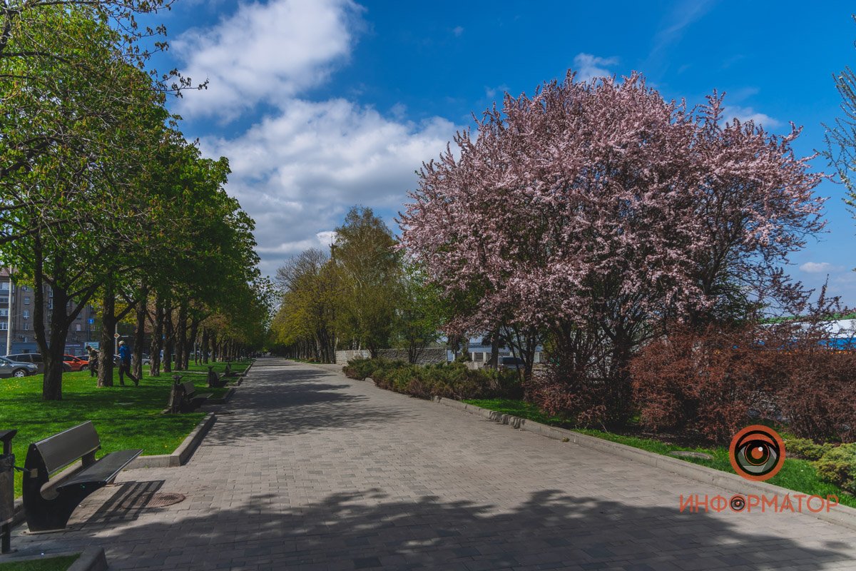 Уже вечером здесь будет не так пустынно