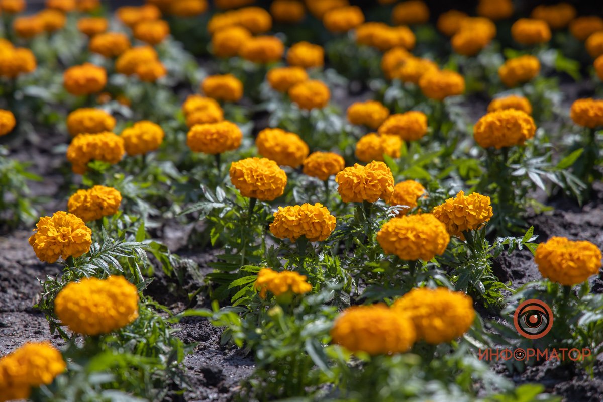 Украшения Земли