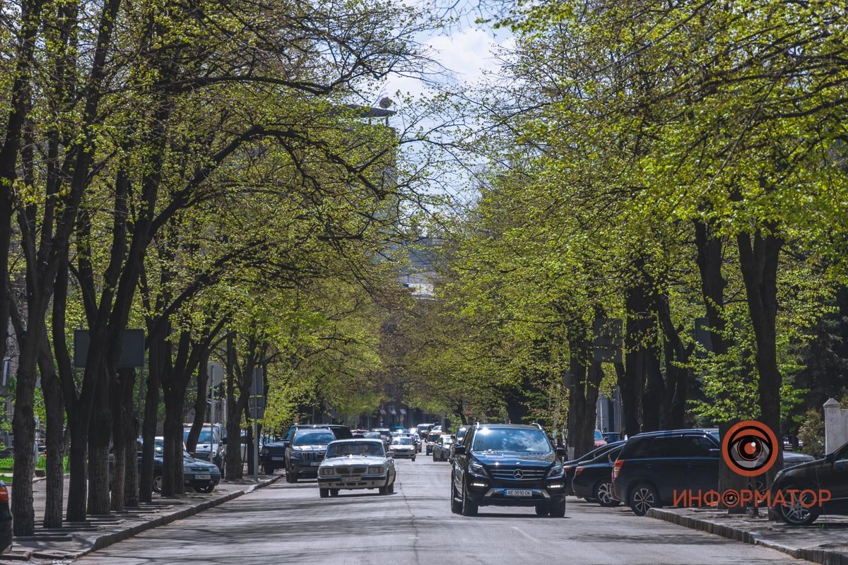 Сквозь весну