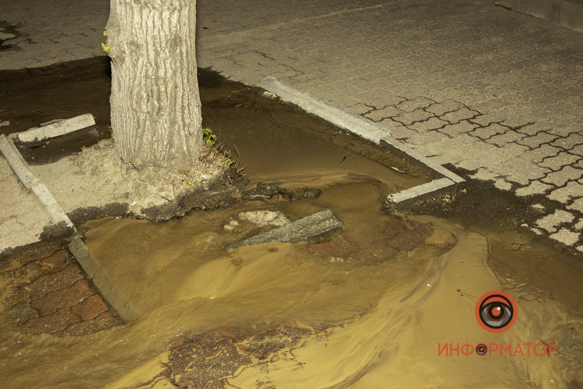 Очевидцы говорят, что подобное случается не в первый раз Очевидцы говорят, что подобное случается не в первый раз