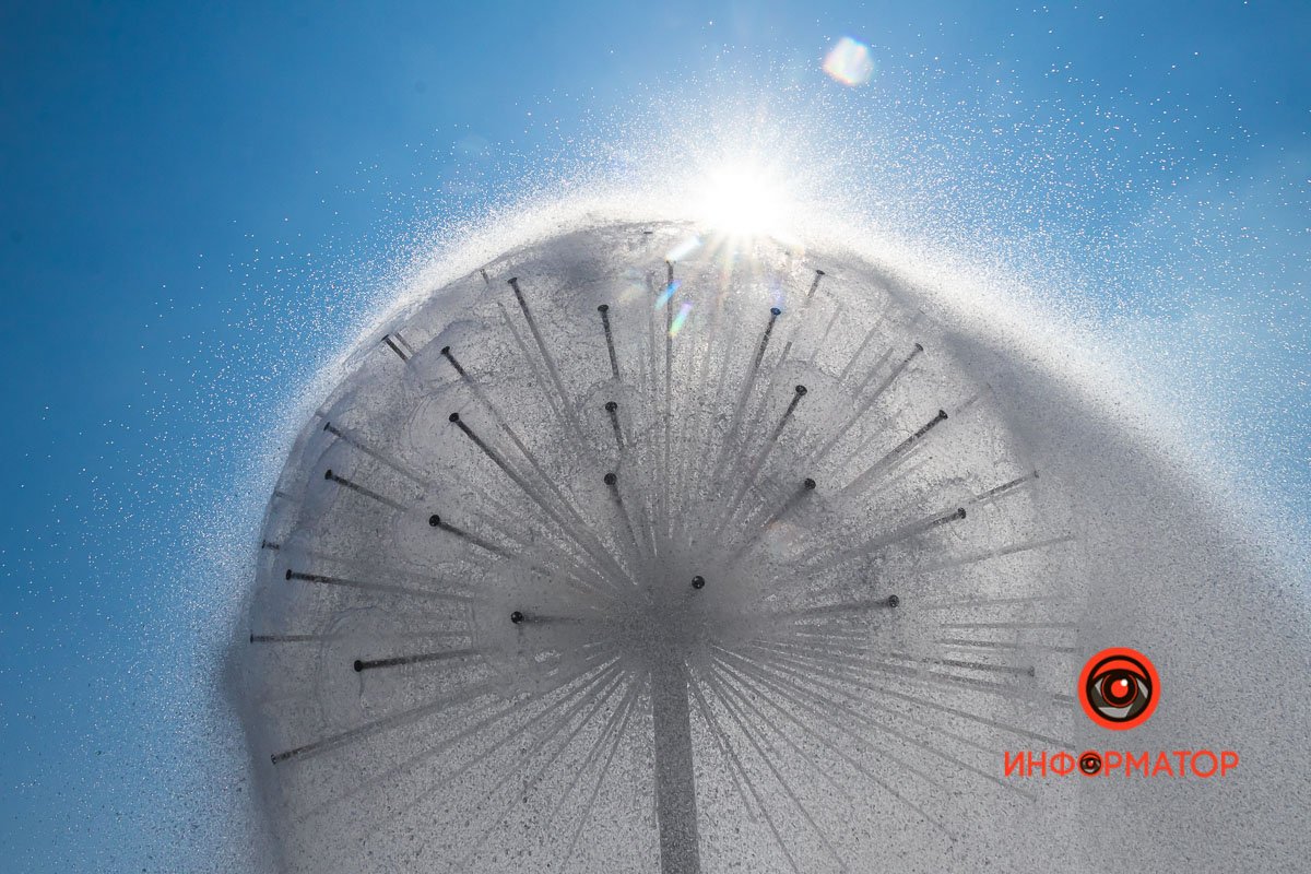 Фото: Дмитрий Федоров