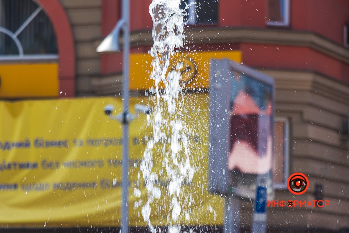 Фото: Дмитрий Федоров