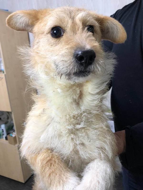 Социализируется Социализируется