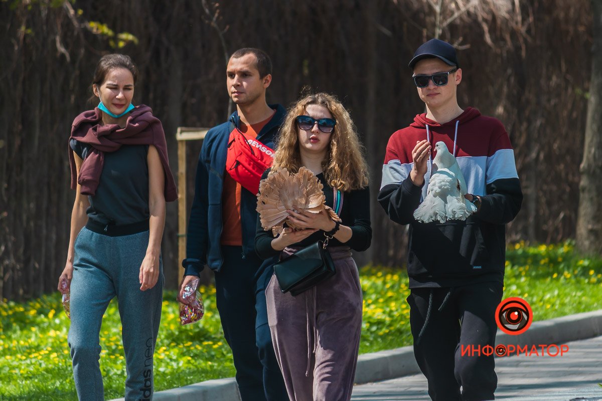 Голубиная "мафия" Голубиная "мафия"