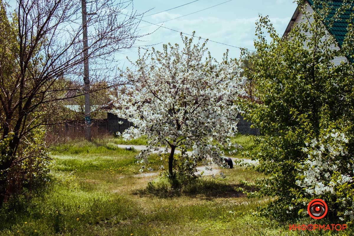 Не такое как все Не такое как все