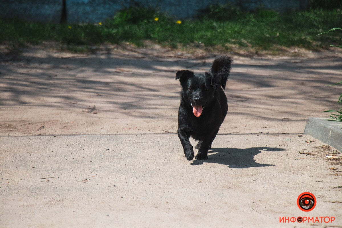 Словно возвращение в детство Словно возвращение в детство