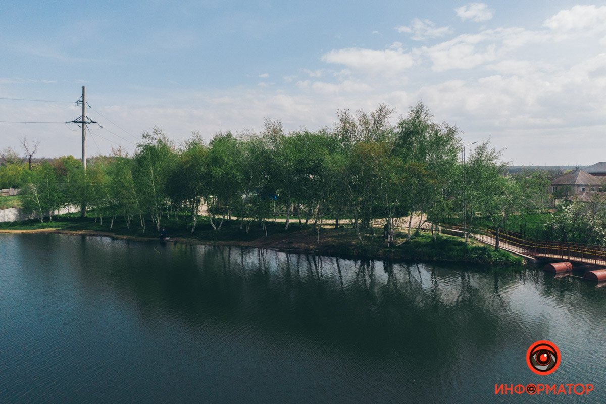 Затишье в тени Затишье в тени