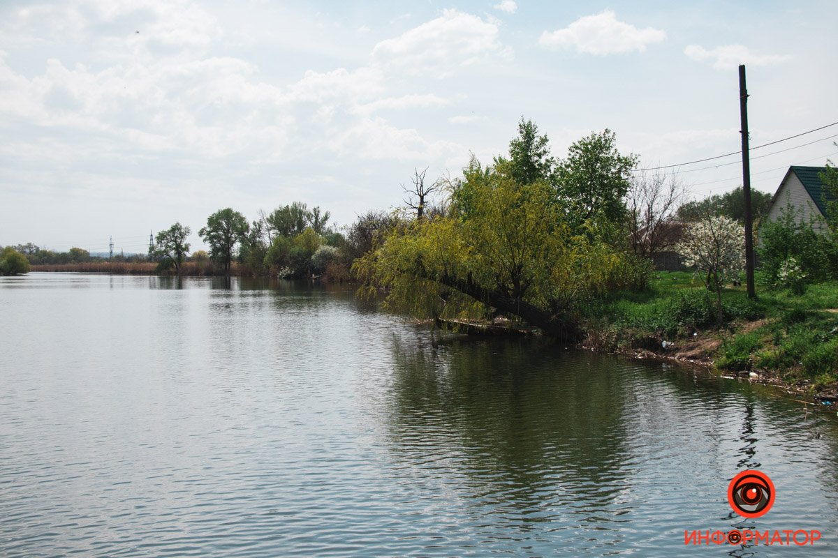 Ива зацвела Ива зацвела