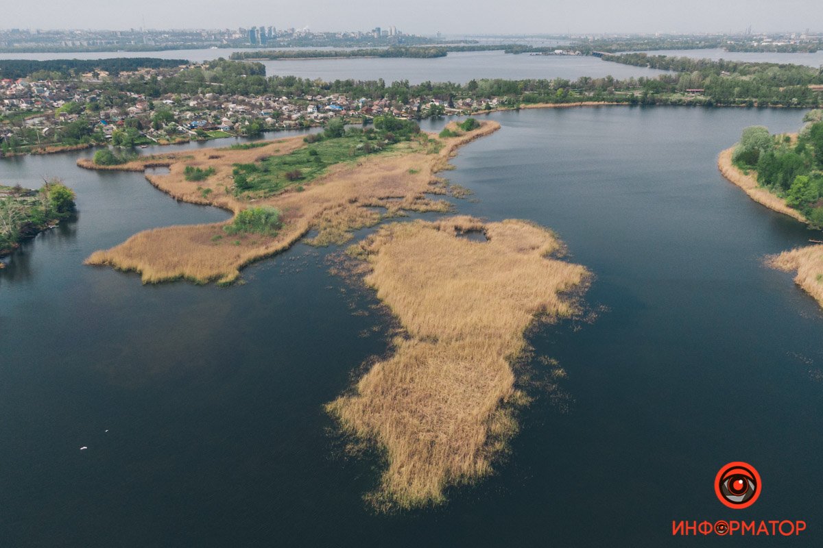 Африка Африка