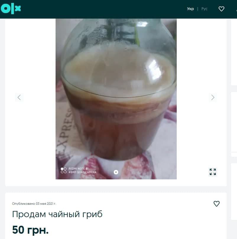 ТОП странных вещей, которые можно купить в Днепре и области на OLX 2