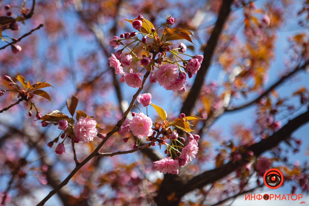 Но уже можно сделать фото Но уже можно сделать фото