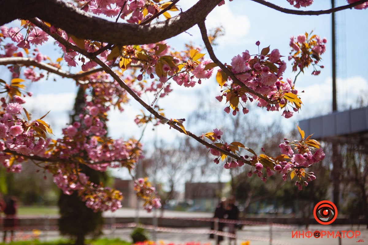 Весна запоздала Весна запоздала