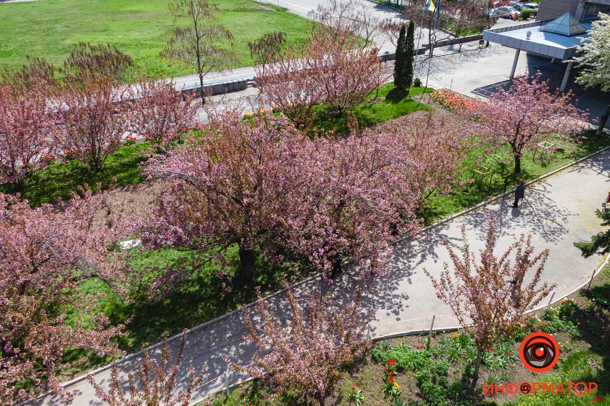 Вид сверху Вид сверху