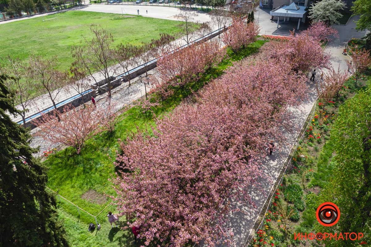 Место для вашей фотосессии Место для вашей фотосессии