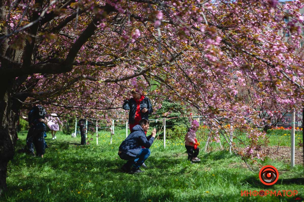 Первые посетители Первые посетители