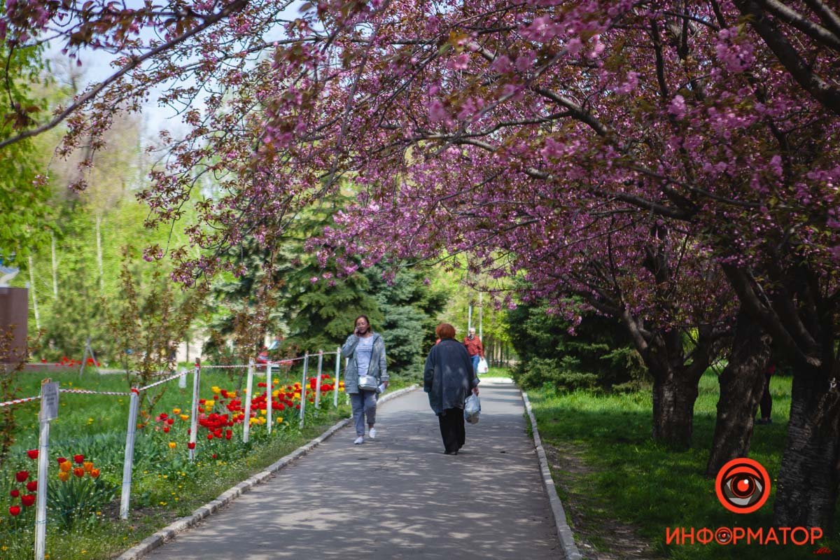 Отличное место для прогулки Отличное место для прогулки