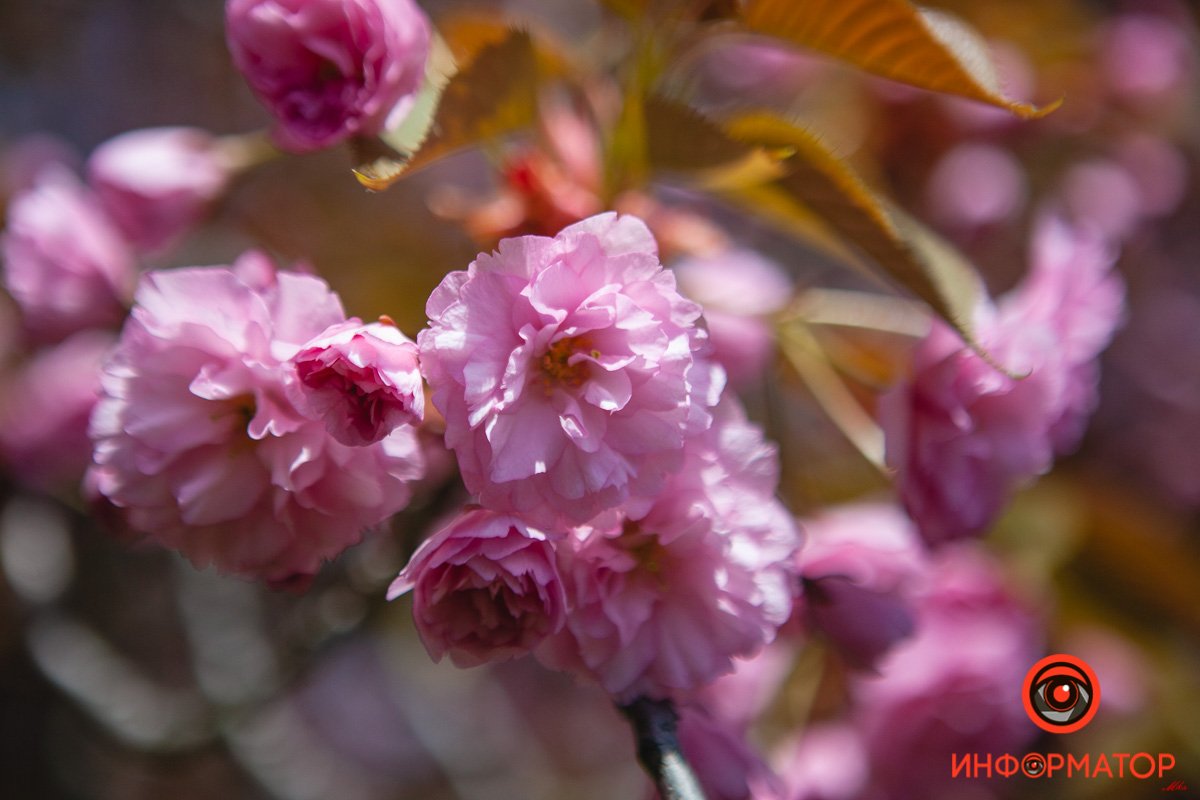 Ну классно же Ну классно же