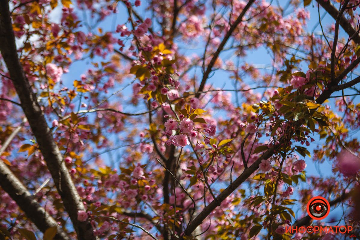 Наш фотограф - молодец :) Наш фотограф - молодец :)