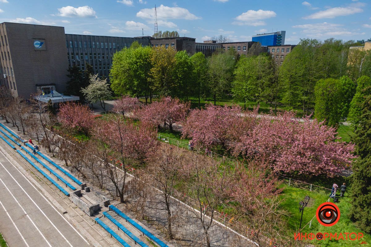 Еще пара дней и будет совсем красота Еще пара дней и будет совсем красота