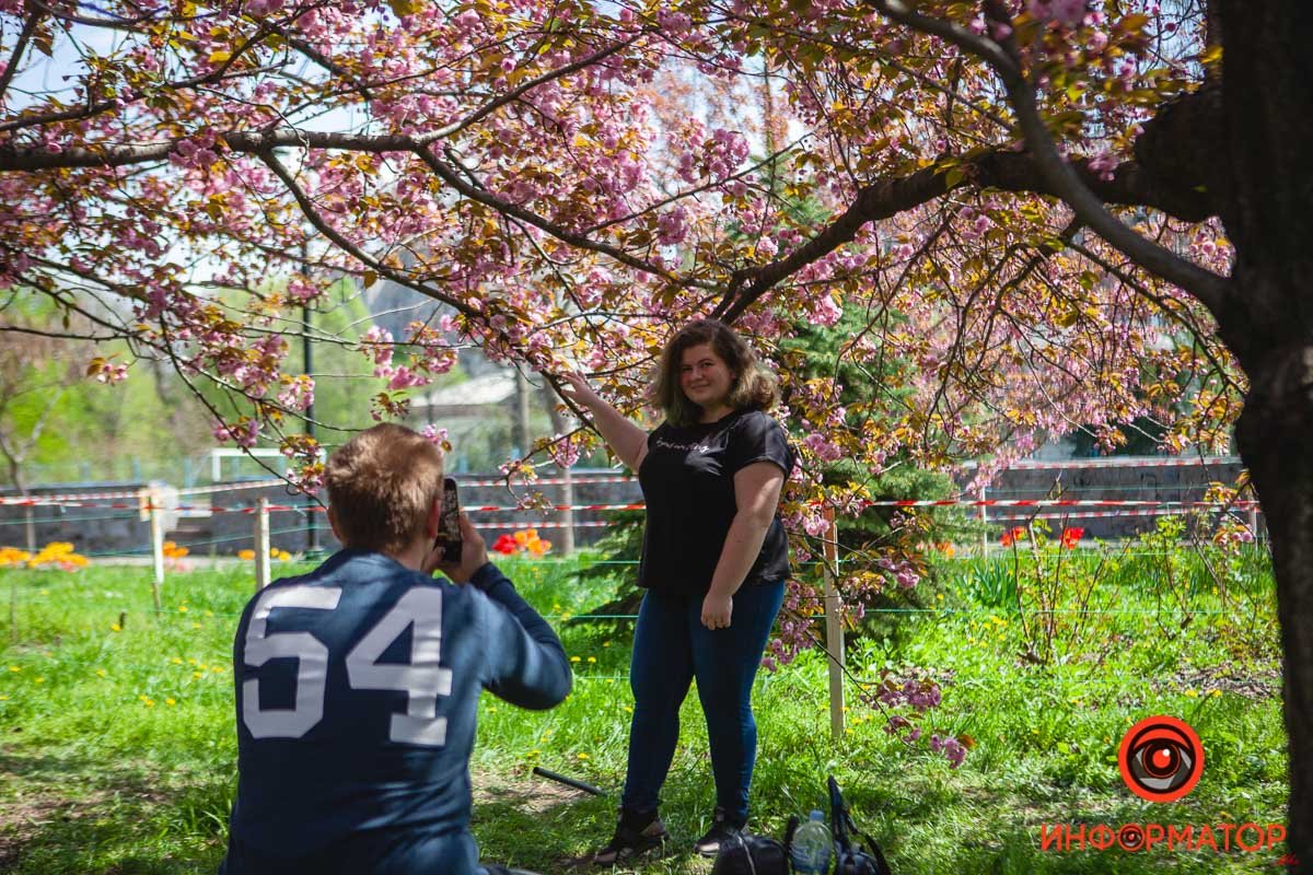 Вы прекрасны Вы прекрасны