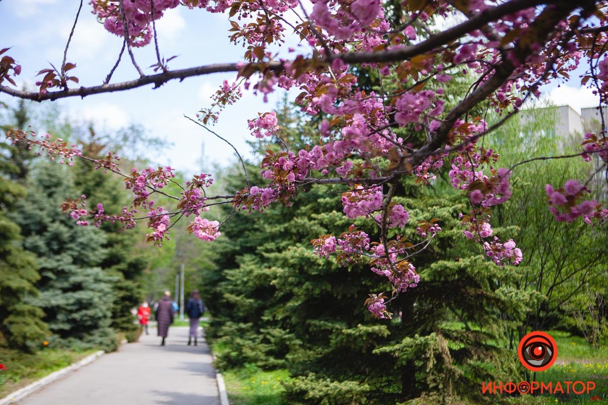 Весна, давай быстрее Весна, давай быстрее