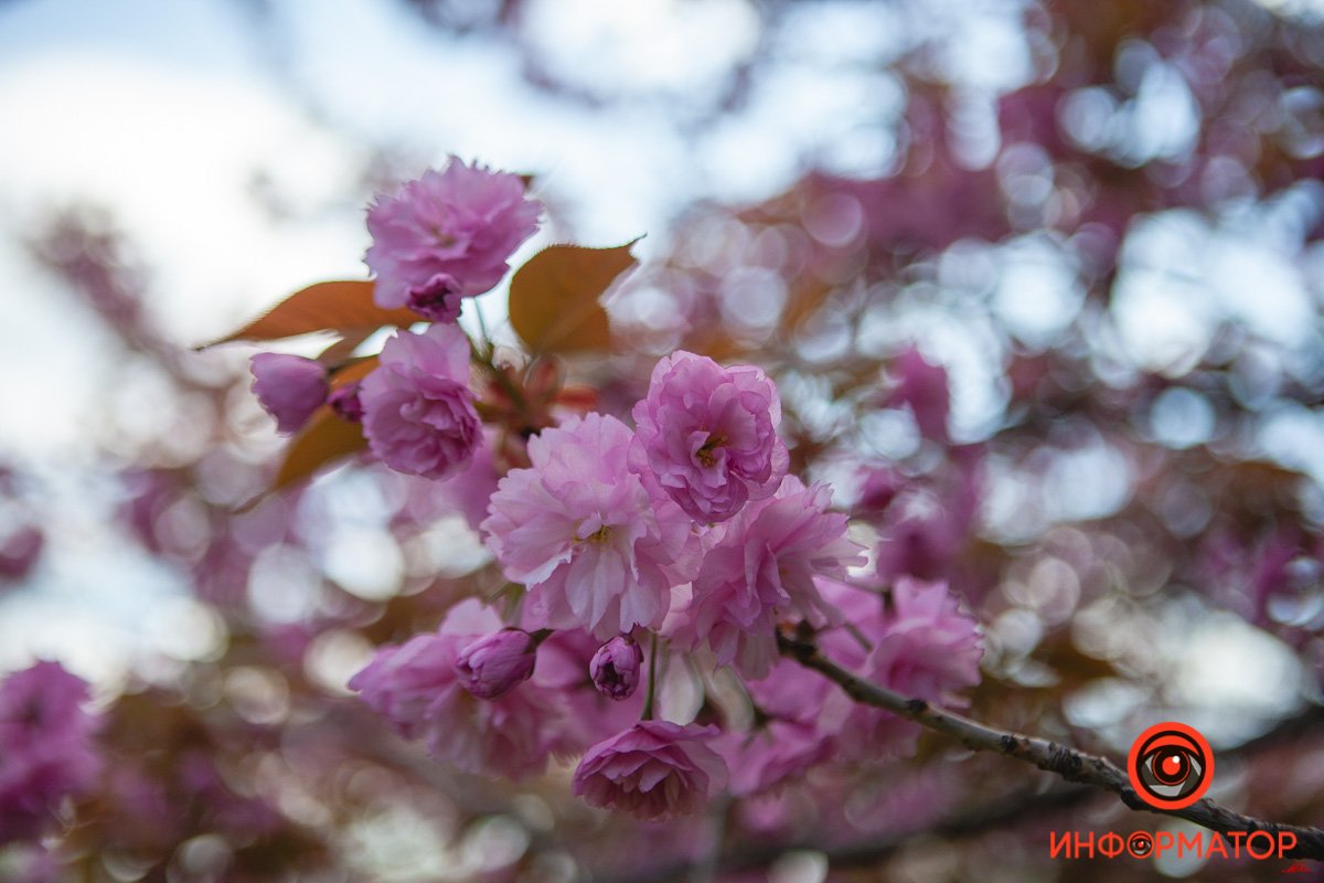 Любовь Любовь