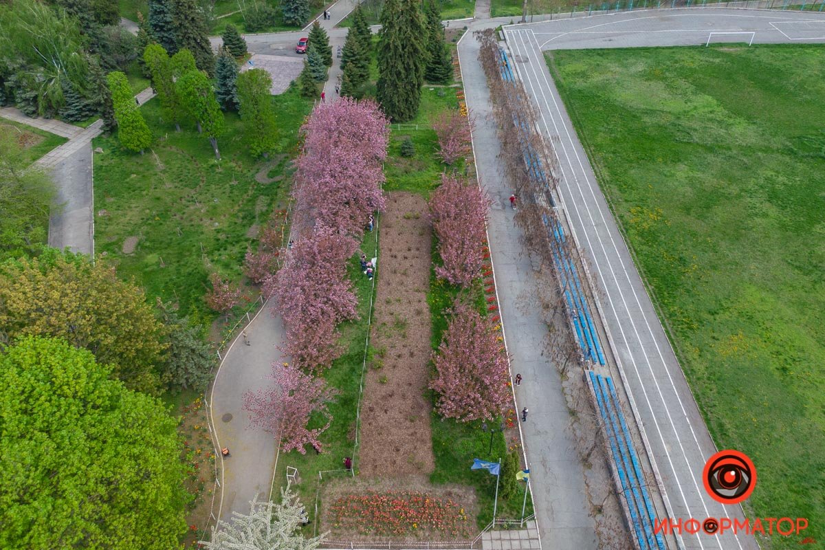 Весна Весна