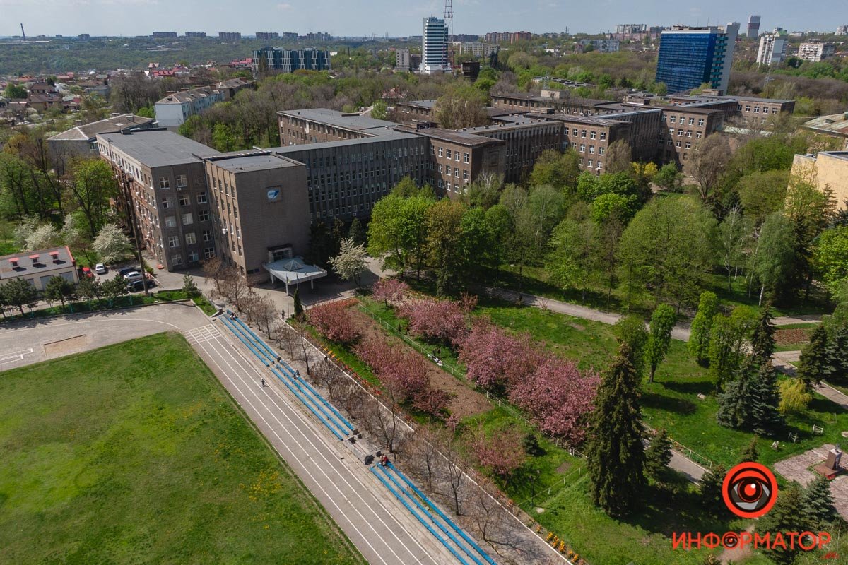 Все зеленеет Все зеленеет