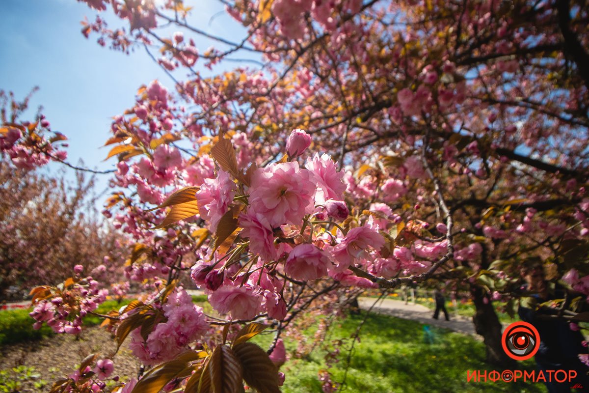 Скорее фоткайте  Скорее фоткайте
